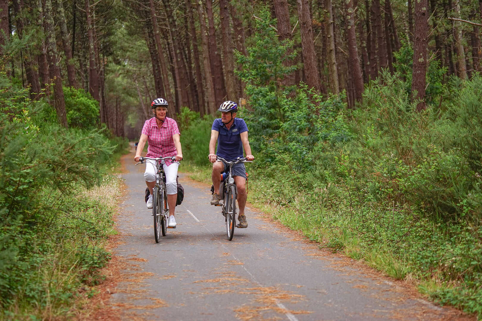 Piste cyclable dans les Landes une semaine de v lo du Bassin d