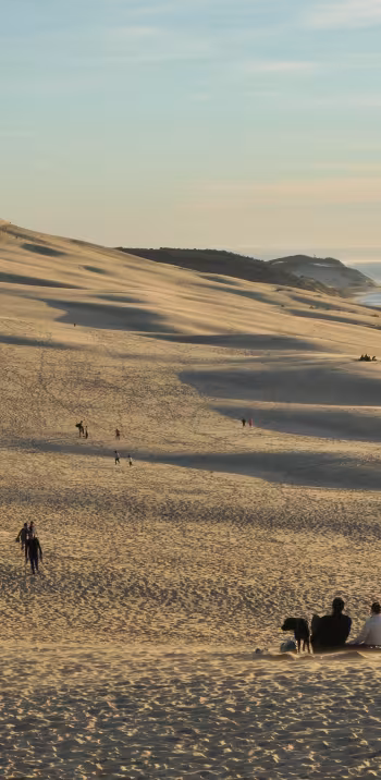 00000504_la_balaguere_arcachon.jpg