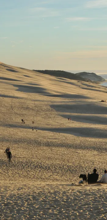 00000504_la_balaguere_arcachon.jpg